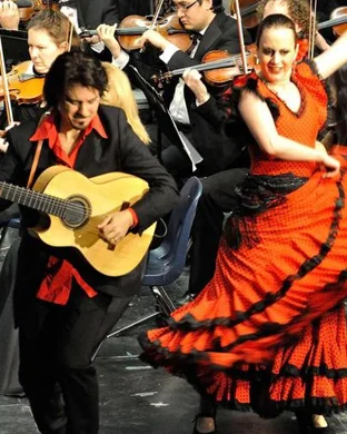 Los Mirlos Toronto