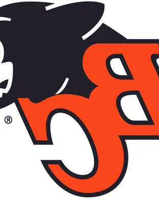 Bc Lions Toronto