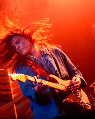 Fruit Bats Toronto