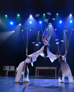 The Peking Acrobats Toronto