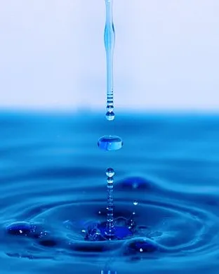 Water for Elephants - The Musical Toronto